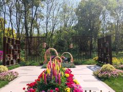 -上海共青森林公园