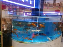 -辣得叫湘菜(四明店)
