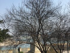 -中国宜宾·长江地标广场