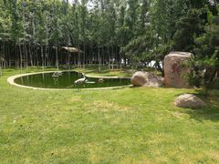 -艾溪湖湿地公园