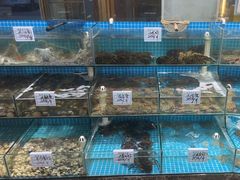 -晓伟海鲜家常菜