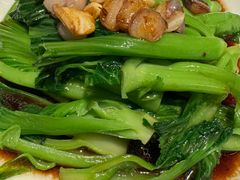 -金悦轩海鲜城(渔人码头店)