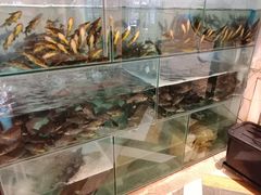 -正渝70年代老火锅(汽博店)
