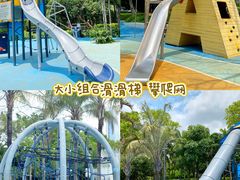 -荔香公园
