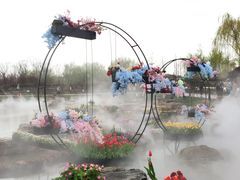 -荷兰花海
