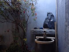 iphone_upload_pic-后海16号·北京私房菜