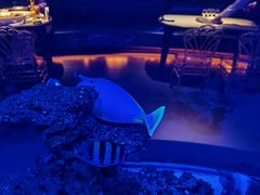 -上和臻品中国菜(花园街店)