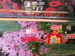 android_upload_pic-胡桃里音乐酒馆(星湖北一里店)