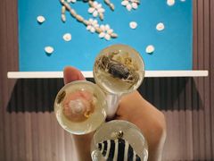 -青岛贝壳博物馆