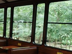 -合肥滨湖国家森林公园