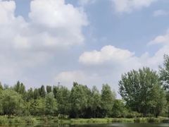 -东郊湿地公园