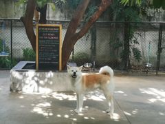 -TrueLove @ Neverland (Husky Cafe)