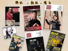 -温鉴良实用咏春拳