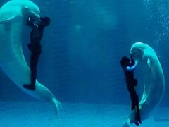 -石林冰雪海洋世界