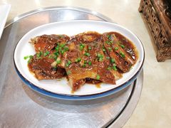 豆酱焖海鱼-墨脱石锅椰子鸡•香草鸭•东山羊(大东海店)