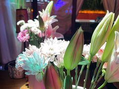 -长沙猫歌音乐餐厅(湖南女子大学店)