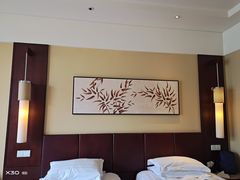 -京津新城温德姆至尊酒店(珠江大道店)