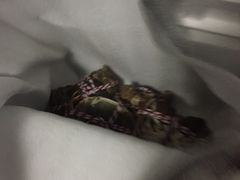 -丫丫蟹庄·苏式园林农家乐·阳澄湖大闸蟹(阳澄湖莲花岛店)