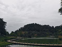 -国恩寺