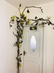 -伊淑颜女子美容SPA会馆