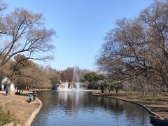 -上海共青森林公园