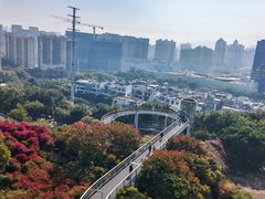 -仙岳公园