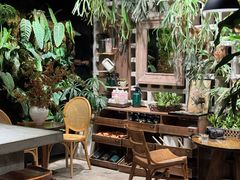 -自由生长植物工作室(深港花卉中心店)