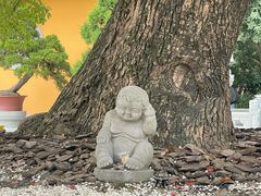 -龙华素斋(龙华路店)