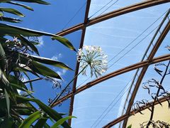 -怀托摩萤火虫洞