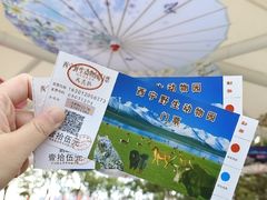-青藏高原野生动物园