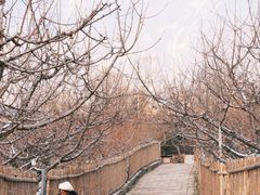 -萝卜寨羌文化生态旅游区