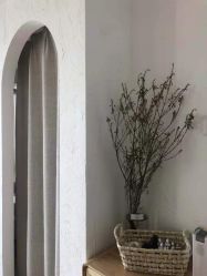 -ANNIL安奈尔·NASX超透白·科技抗衰·问题性肌肤管理