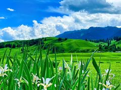 -新疆那拉提国家旅游度假区