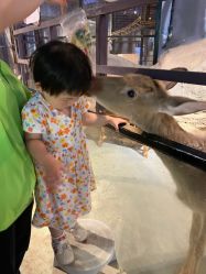 -酷嗒动物文化乐园(cutezoo西溪乐天城店)