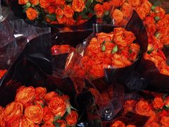 -循礼门鲜花花市(武汉循礼门店)