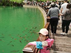 -山西通天峡景区