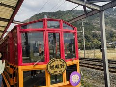 -岚山嵯峨野观光小火车