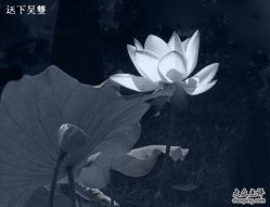 -私家美林护肤造型