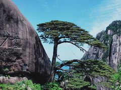 -黄山风景区