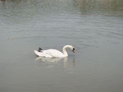 -哈尔滨北方森林动物园