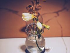 -茶是一枝花泡茶店