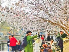 -安定门(地铁站)