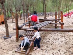 -西部长青自然儿童乐园