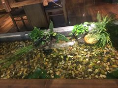 -紫霞门韩国料理烤肉(深南东路店)