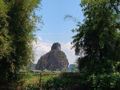 -明仕田园