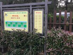 -崇明东平国家森林公园烧烤房车露营地