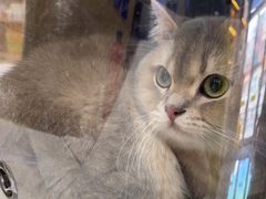 -宠颐生动物医院·心脏科·保险定点(锦阳分院)