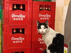 -小板凳(四公里店)