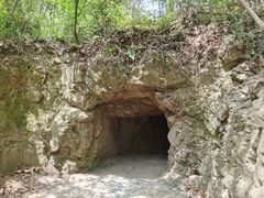 -上海佘山国家森林公园天马山园