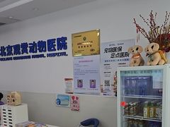 -北京观赏动物医院·24小时大型综合·猫专科·异宠专科